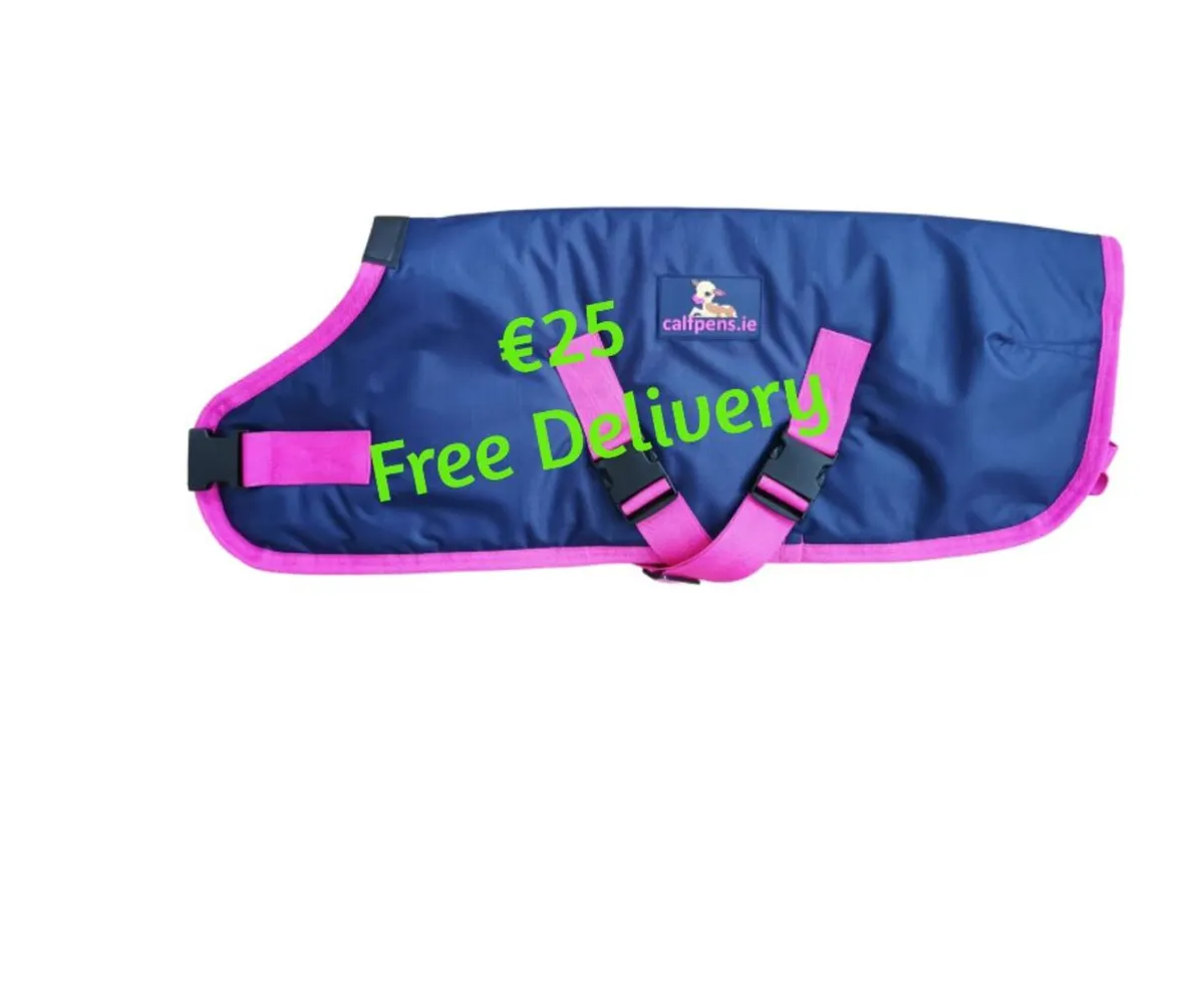 Calf Coats - Image 1