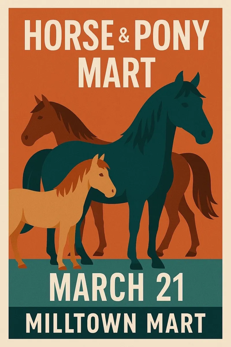 Horse Pony Sale at Mid Kerry Co Op Mart - Image 2