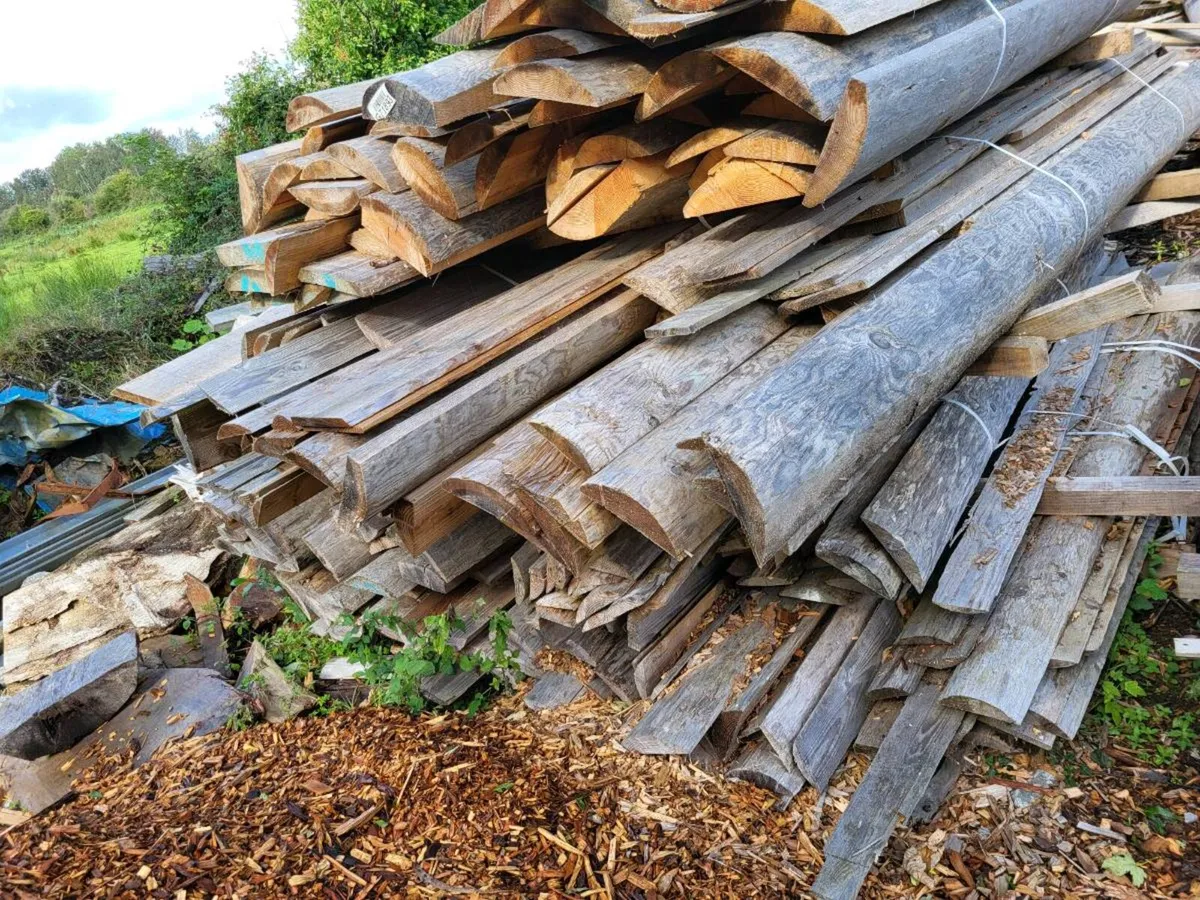 Timber Slabs - Image 3