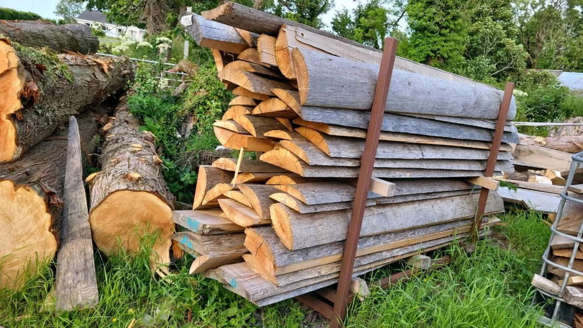 Timber Slabs - Image 4