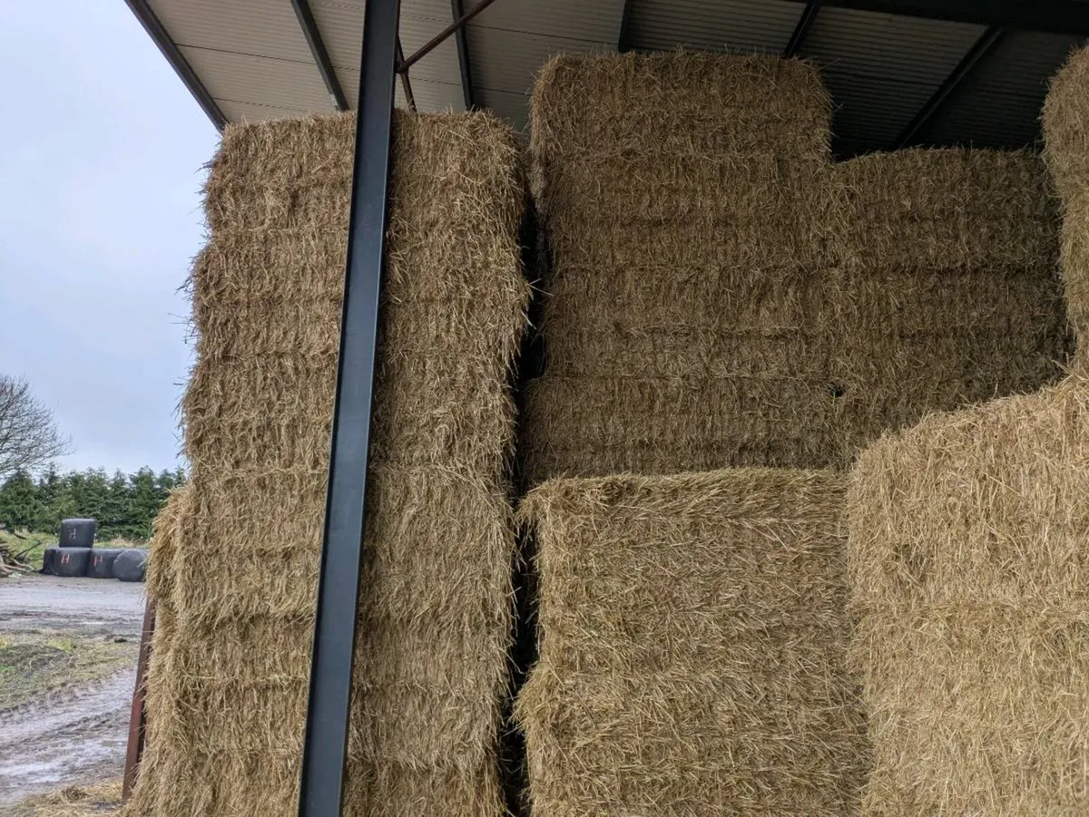 Feed Quality Wheaten Straw - Image 1