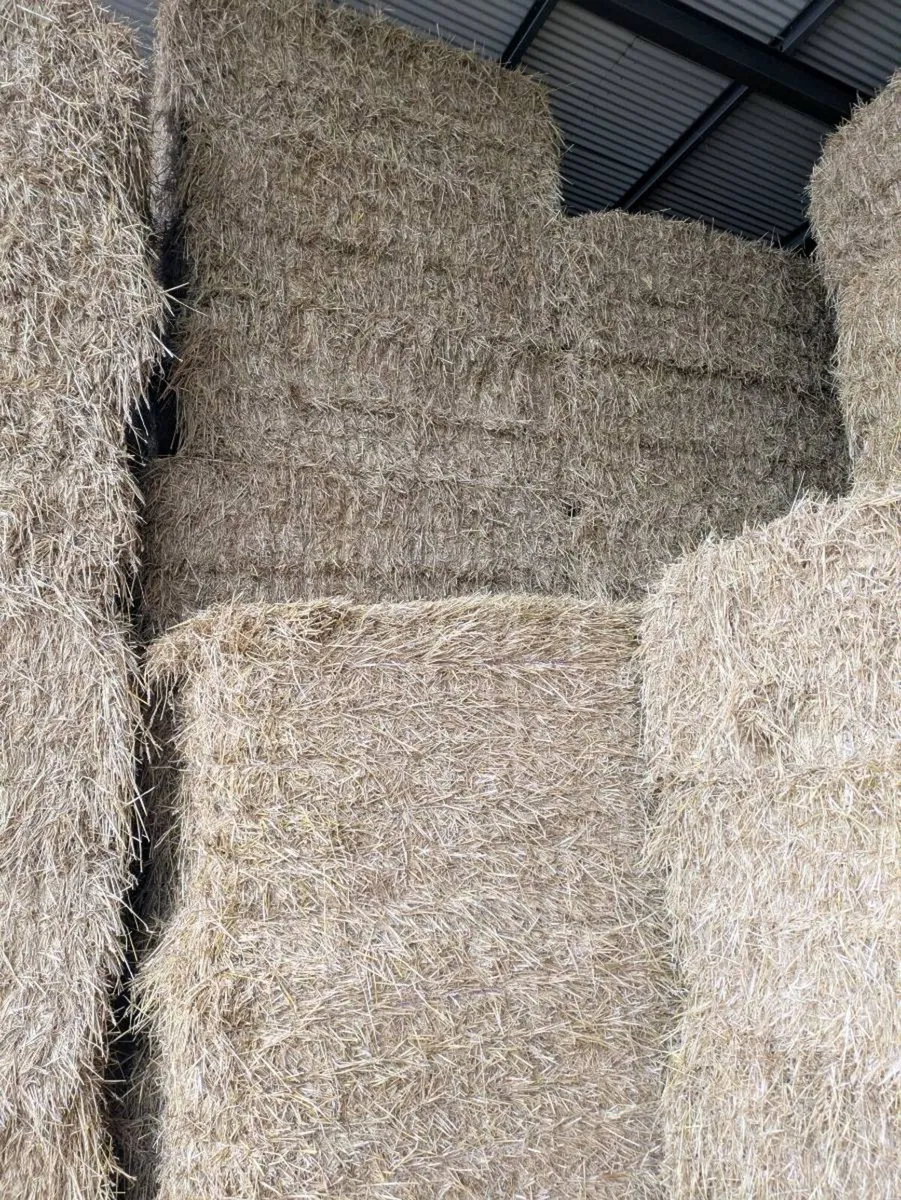 Feed Quality Wheaten Straw - Image 2