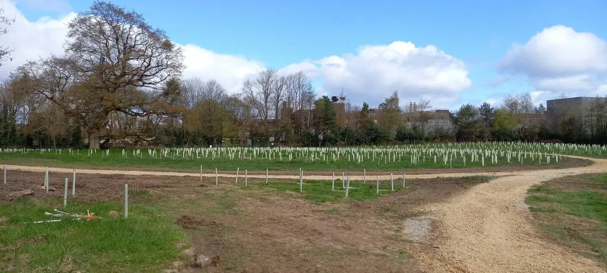 Walking Tracks - Image 2