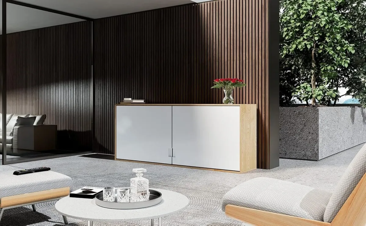 EFS66L Electric TV Lift/Motorised Height-adjustabl - Image 3