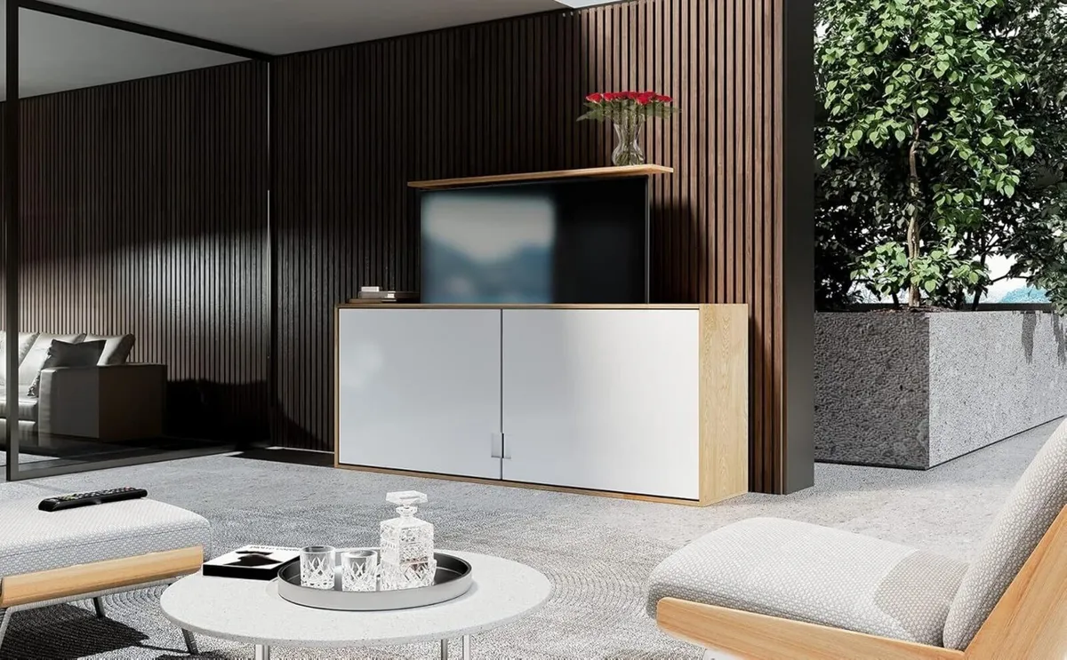 EFS66L Electric TV Lift/Motorised Height-adjustabl - Image 2