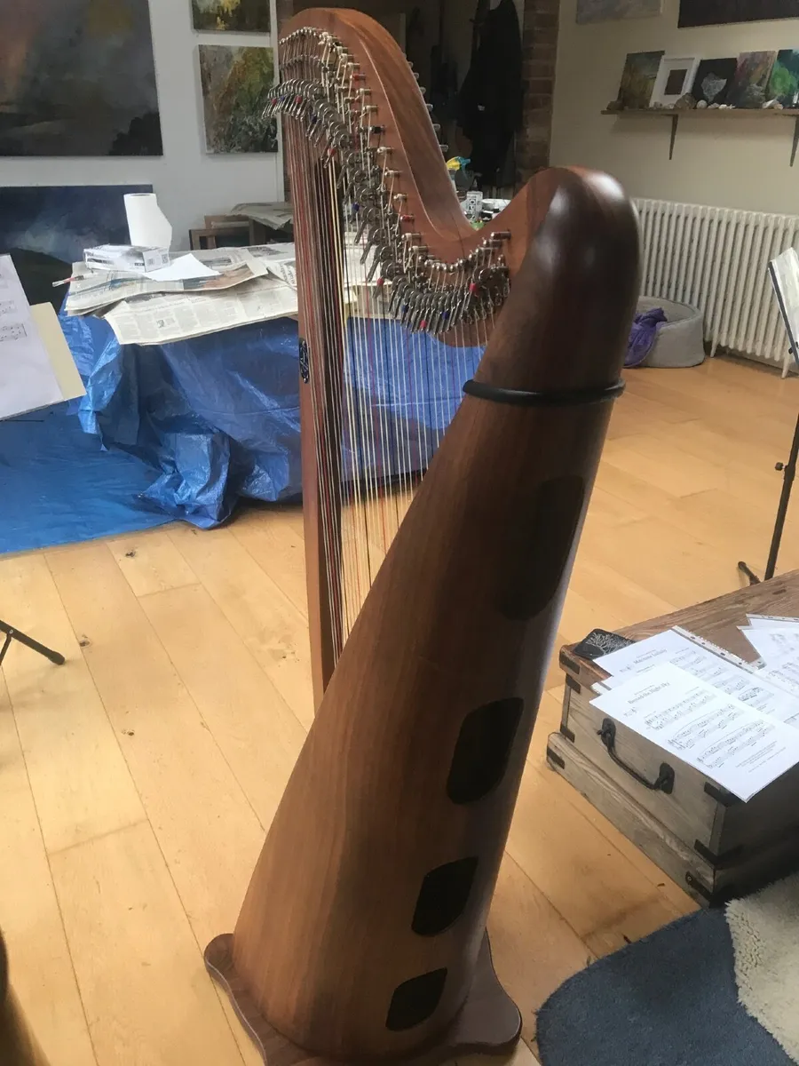 Muzikkon Mchugh Ayra Harp 38 sting. - Image 3