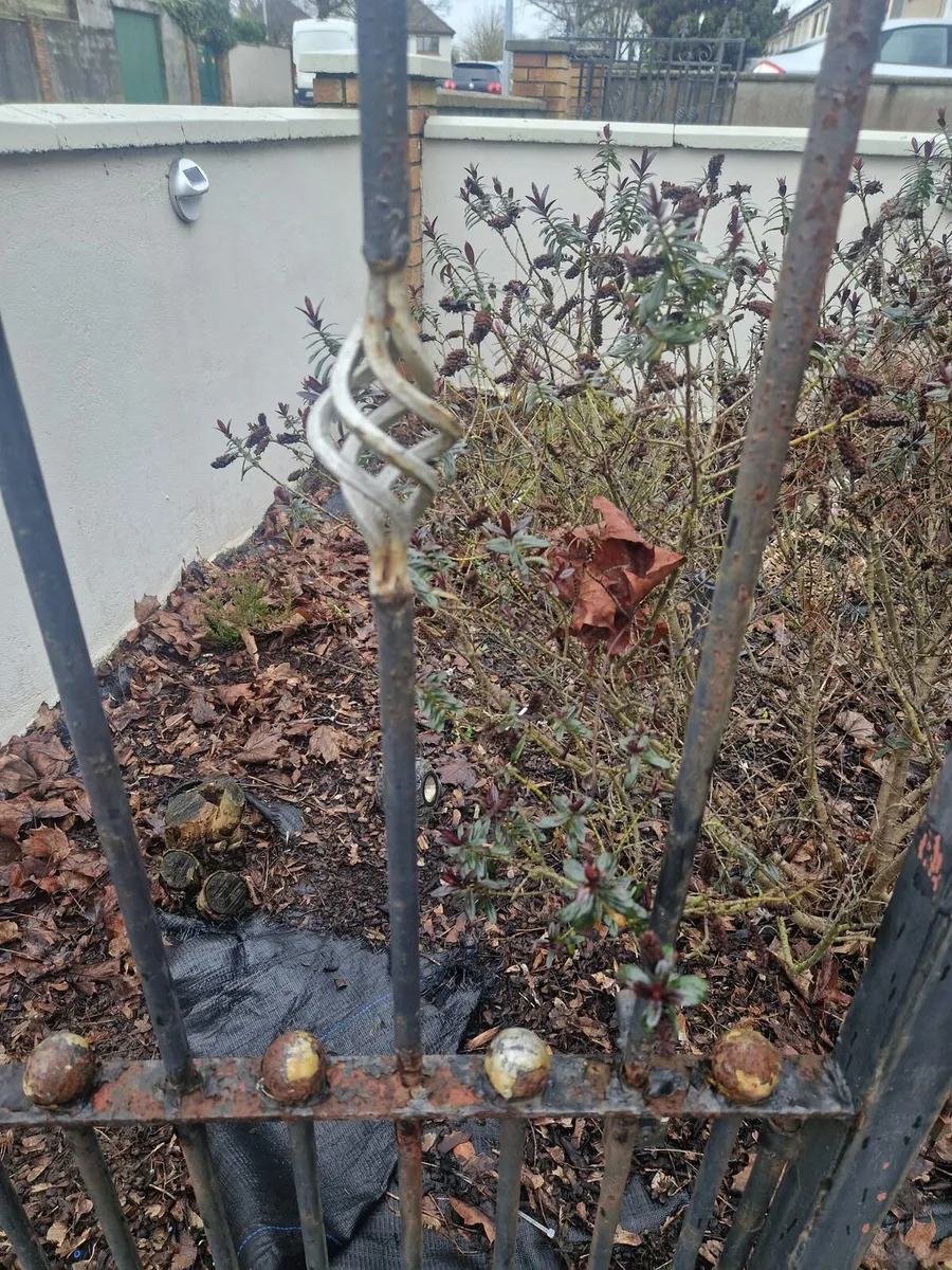 Cast Iron Gates - Image 4