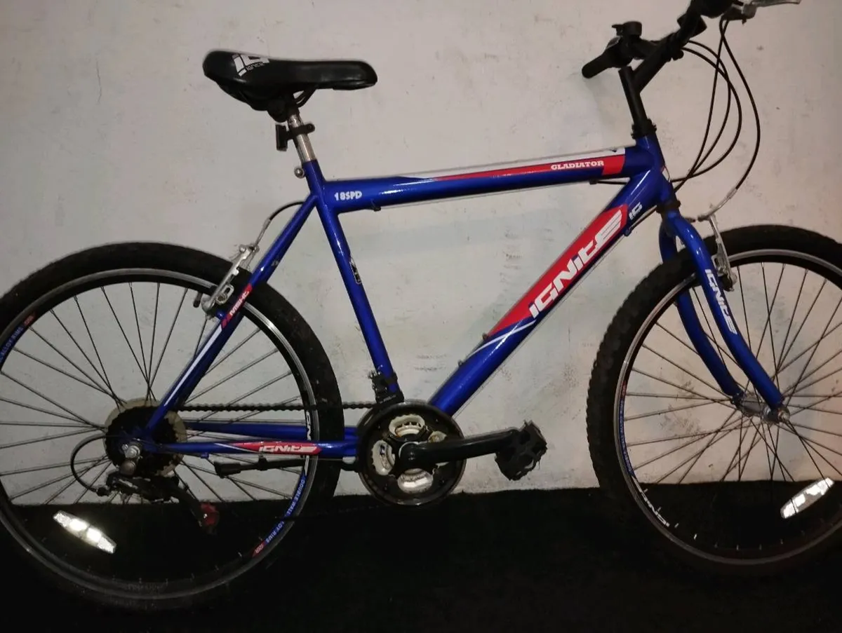 26inch bike - Image 1