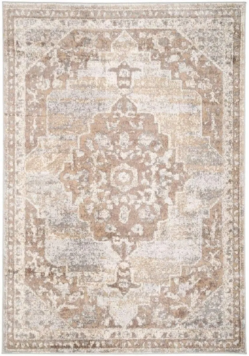 Antique Warm Neutral Greige Living Room Area Rug - Image 1