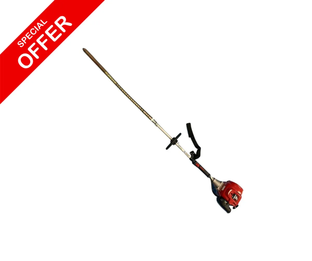 PACINI Petrol Hand Held Poker - Strimmer Type - Image 1