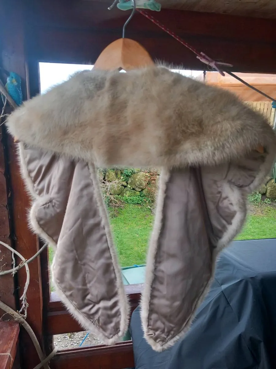 Stunning vintage fur stole, 50s, post 7e D18 - Image 2