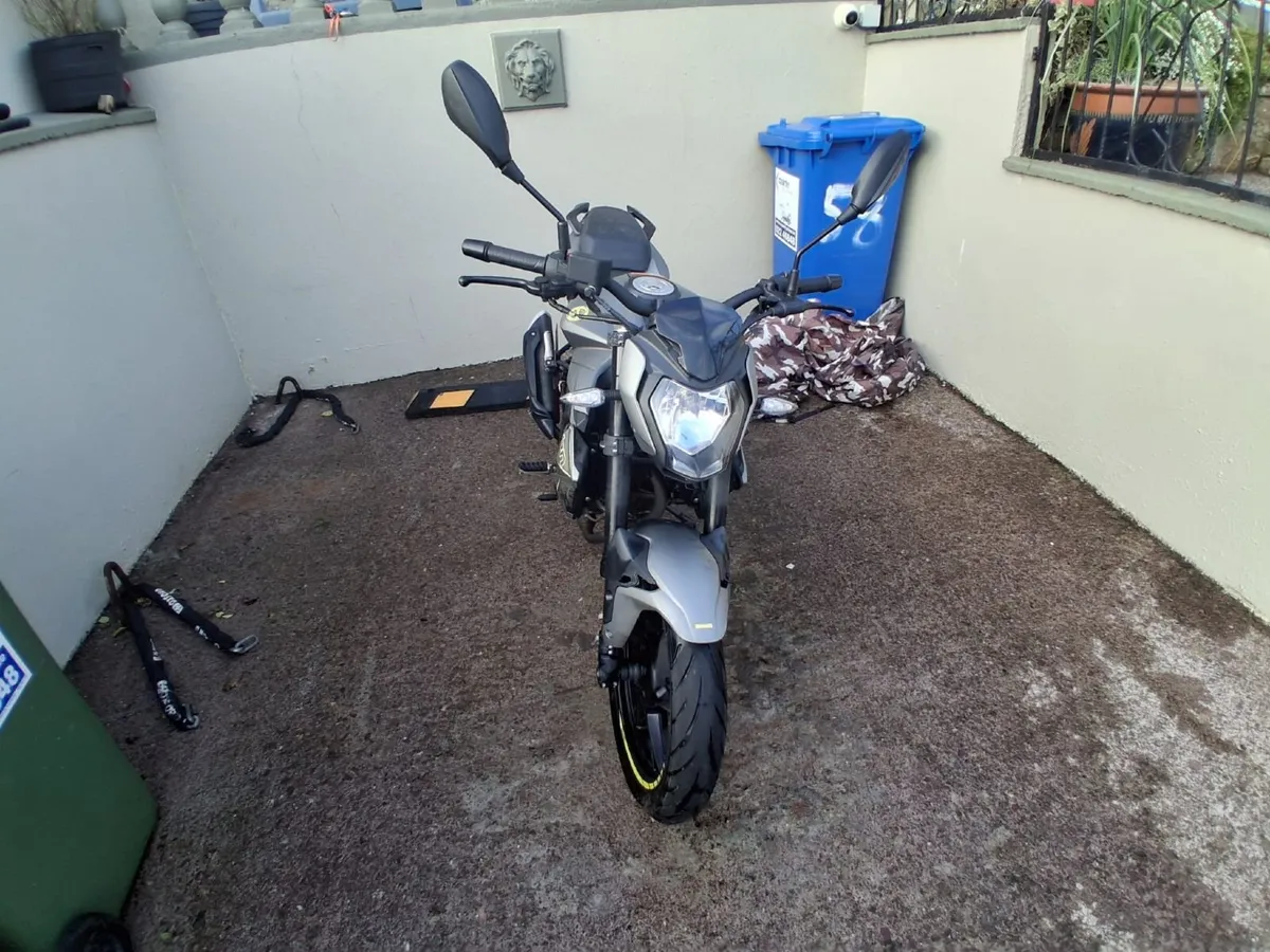 BENELLI Other 2025 - Image 1