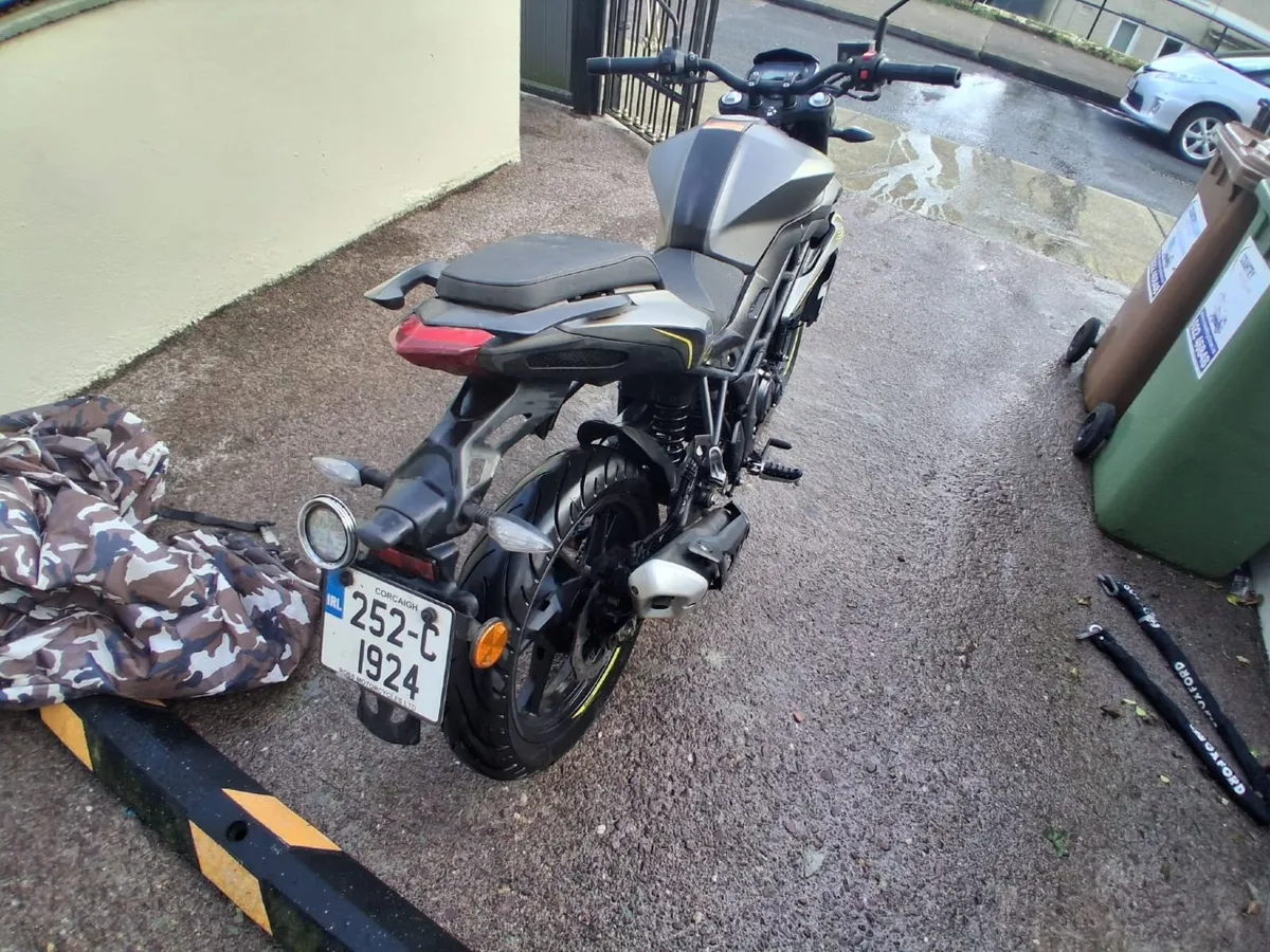 BENELLI Other 2025 - Image 2