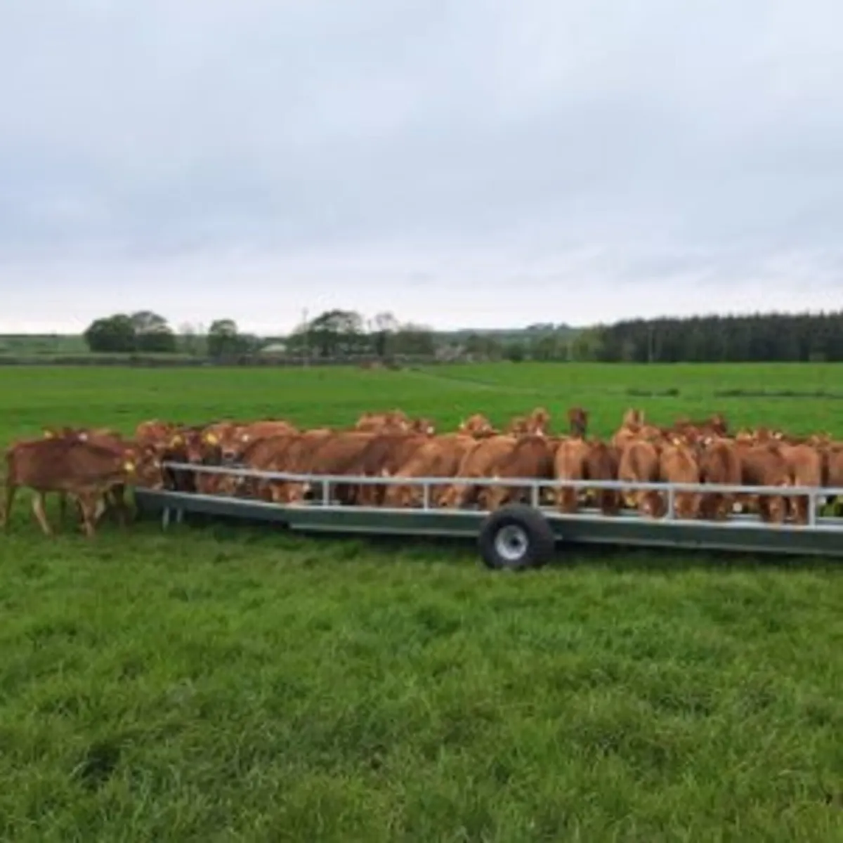 30ft Mobile Calf Trough - FRS Direct - Image 1
