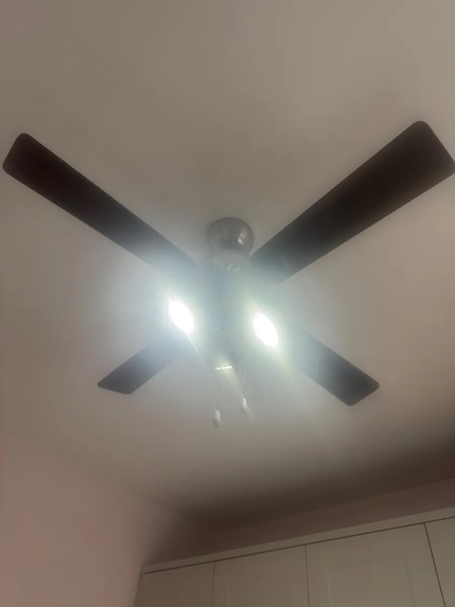 Castleblanca Fan Lightfitting - Image 2