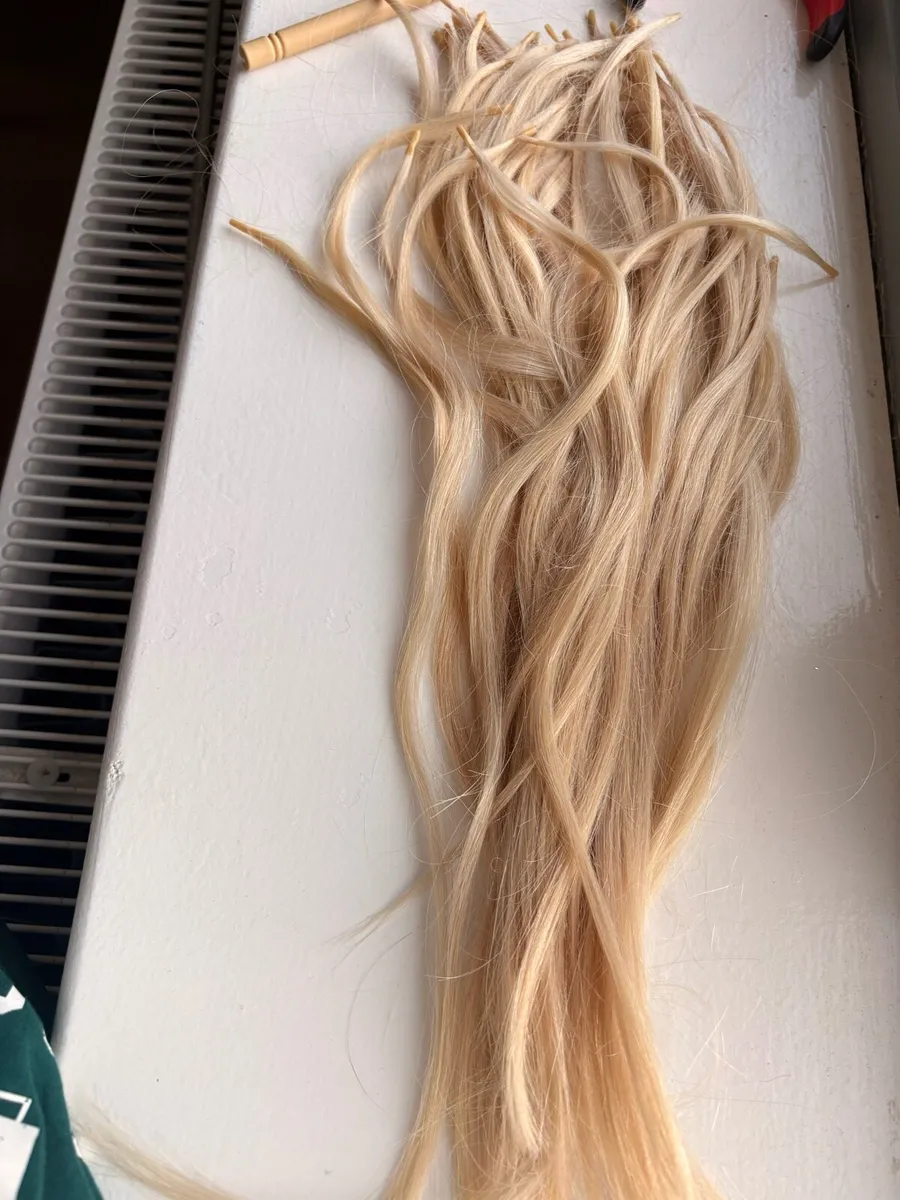 Hair Extensions - Image 1