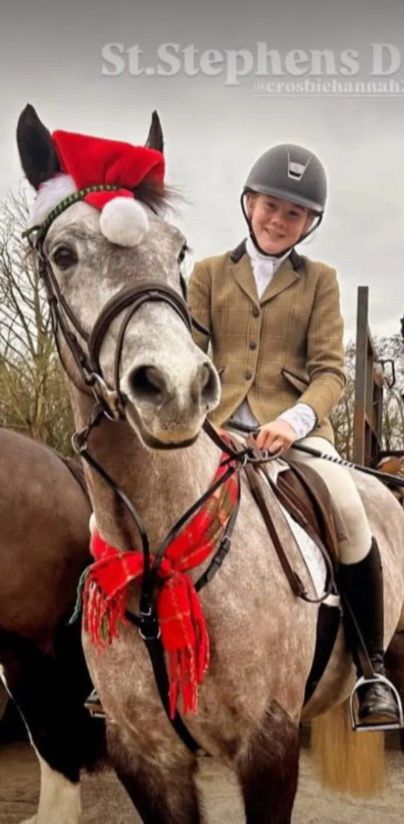 ⭐️Charlie lot 42 Goresbridge ⭐️ - Image 2