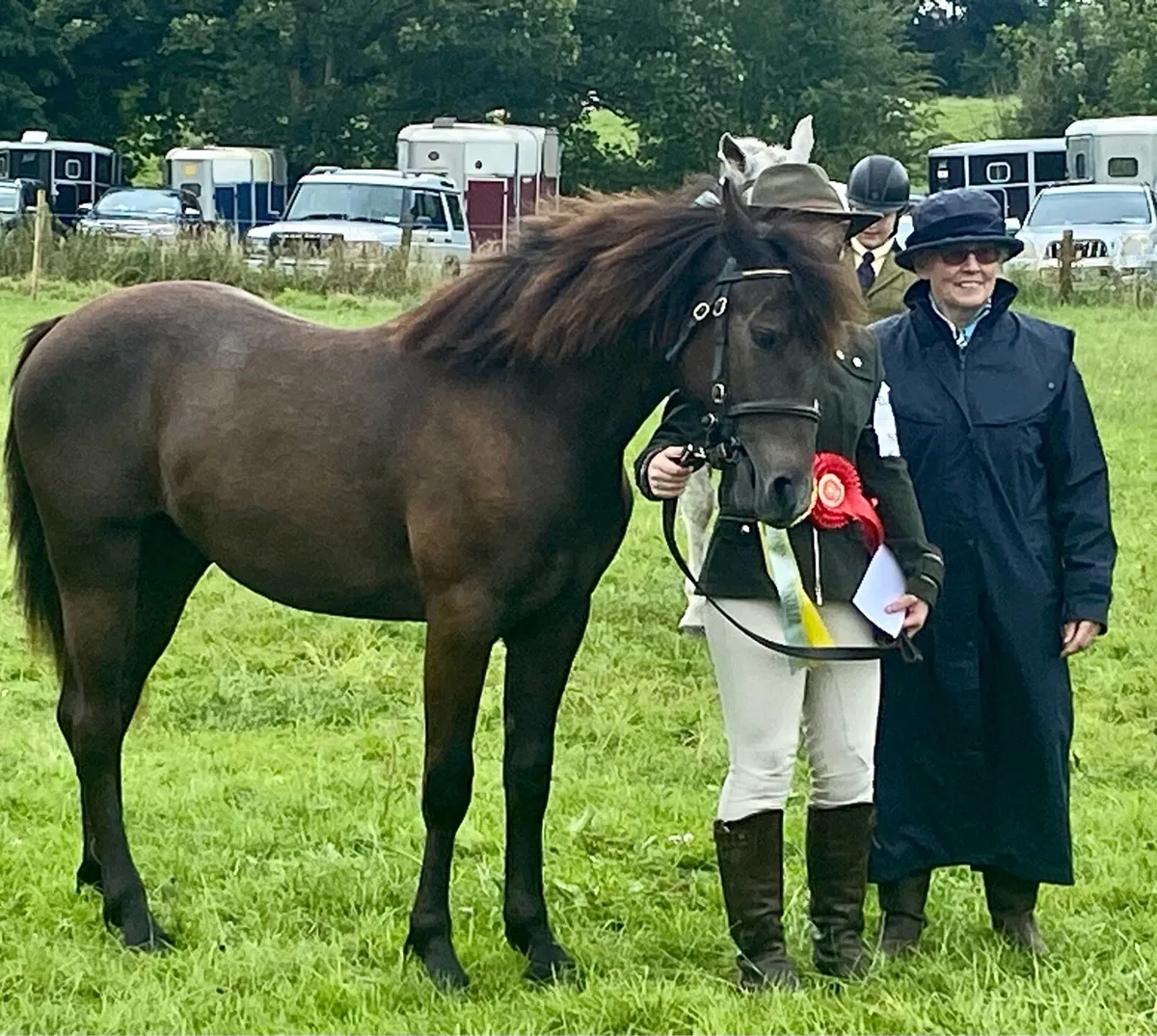 ⭐️Charlie lot 42 Goresbridge ⭐️ - Image 4