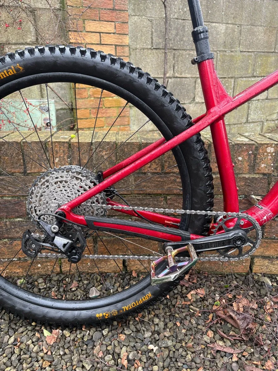 Trek Roscoe 9 - Image 2