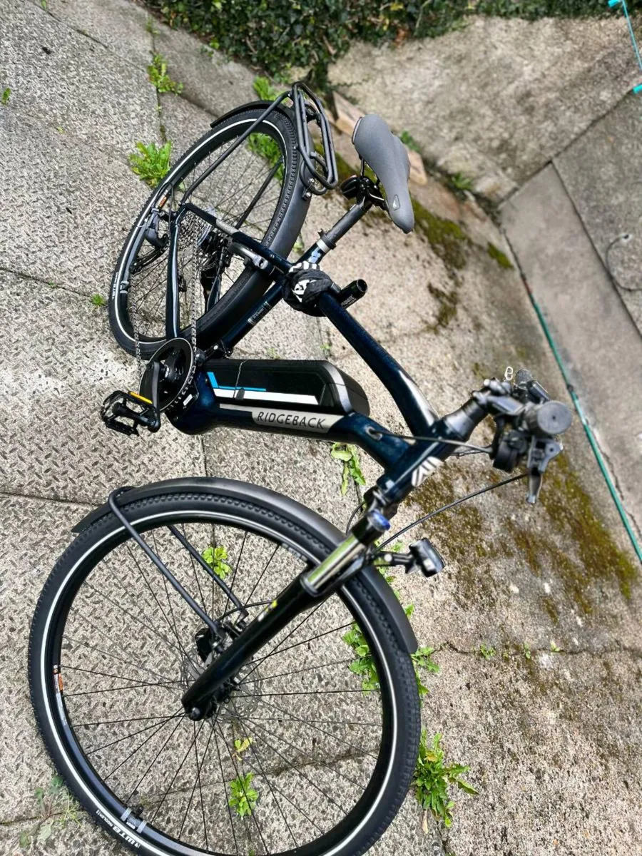 Electric bike Arcus 2 ridgeback - Image 3