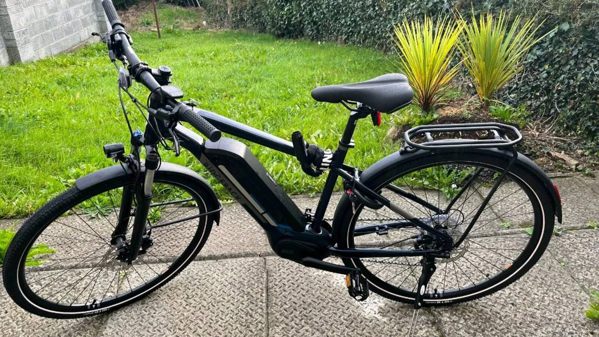 Electric bike Arcus 2 ridgeback - Image 1