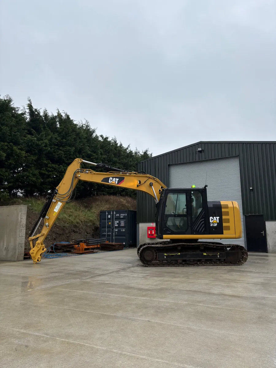 2019 Cat 313 FL - Image 2