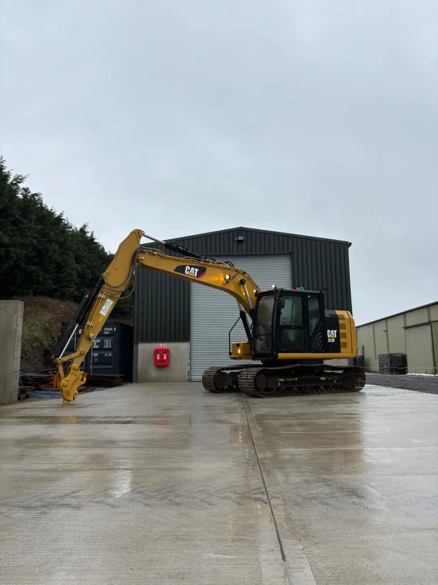 2019 Cat 313 FL - Image 1