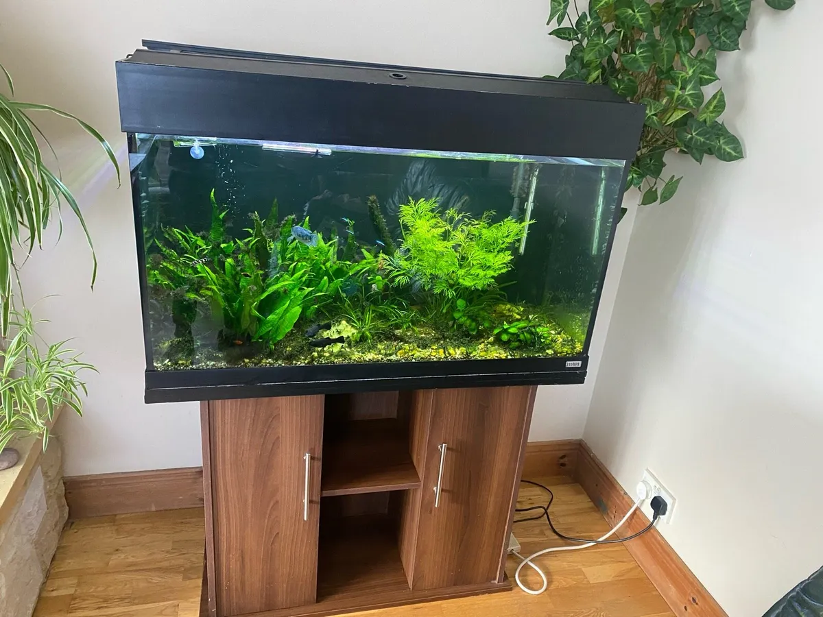 Fish tank with shelf - Image 1