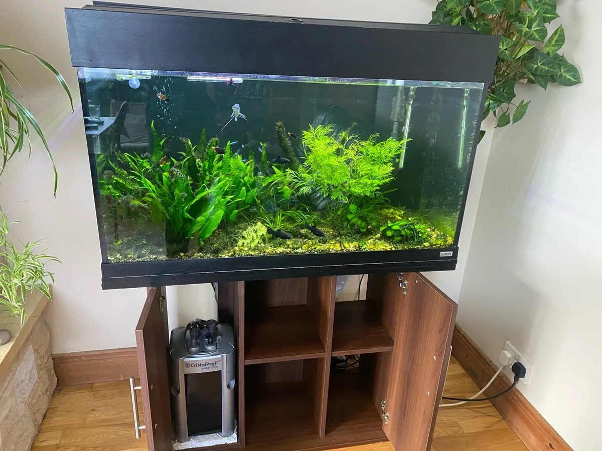 Fish tank with shelf - Image 4