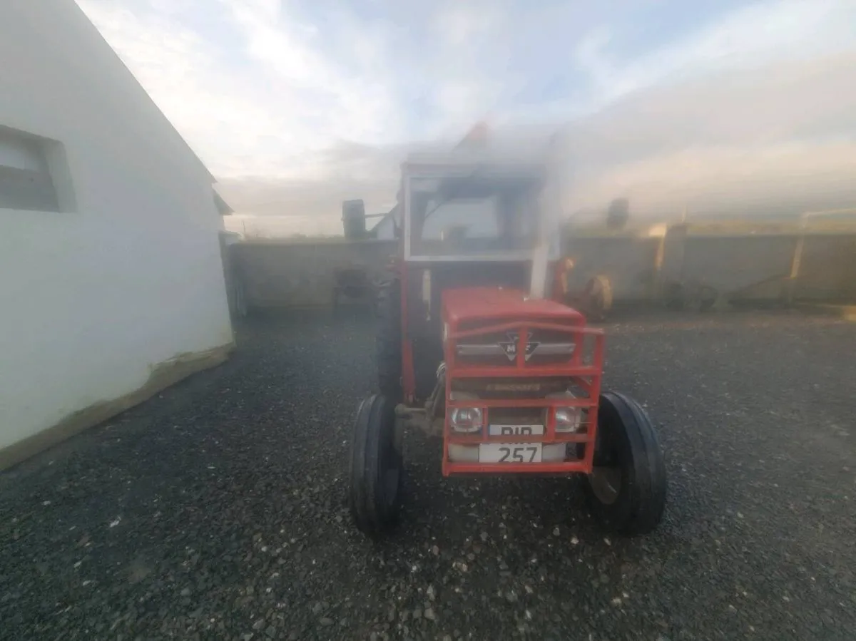 Massey ferguson - Image 4