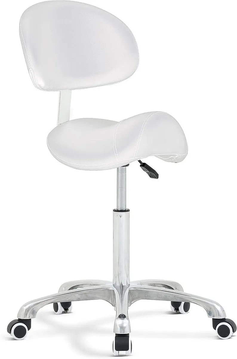 Adjustable Hydraulic Saddle Stool  With Backrest - Image 1