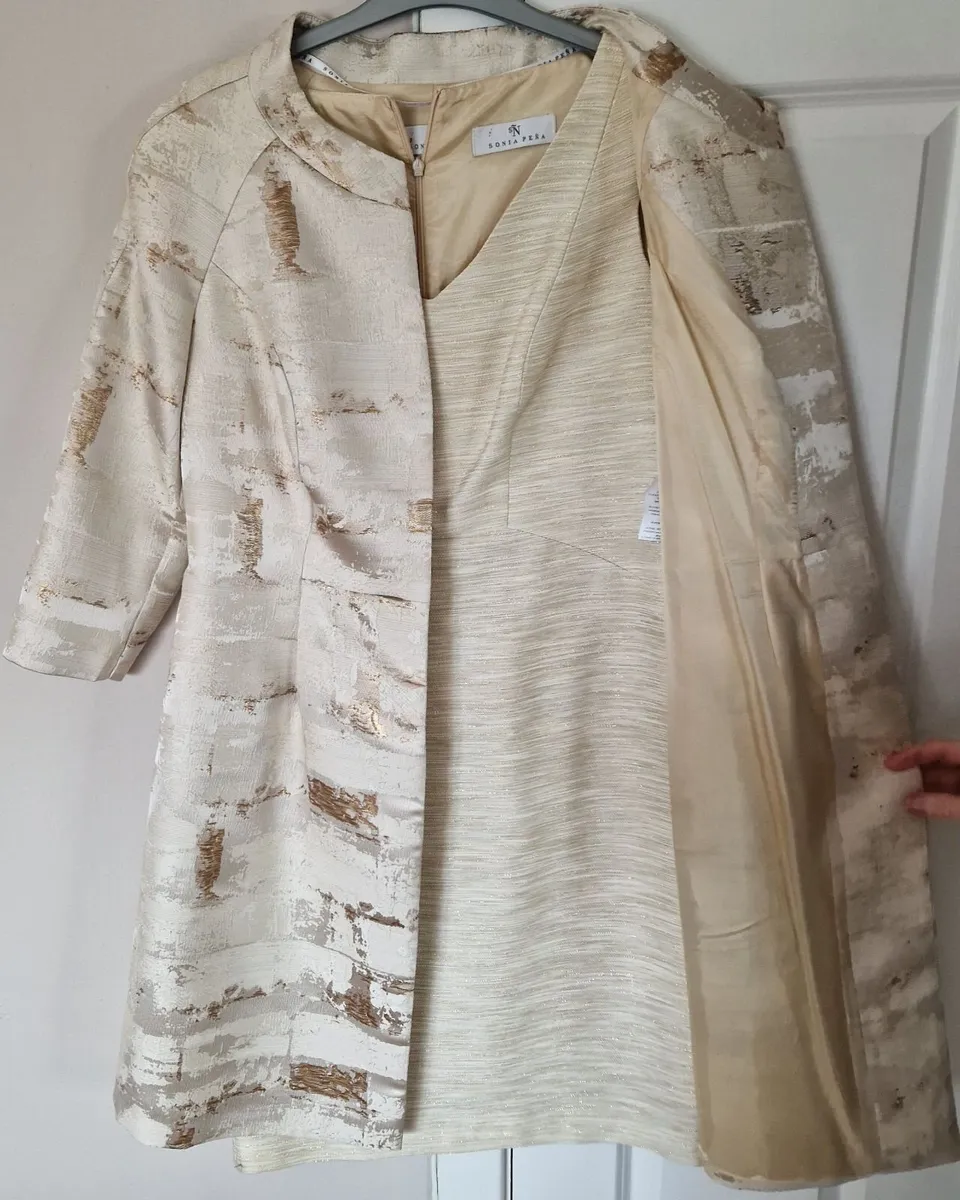 Occasion dress/mother of the bride/wedding guest - Image 1