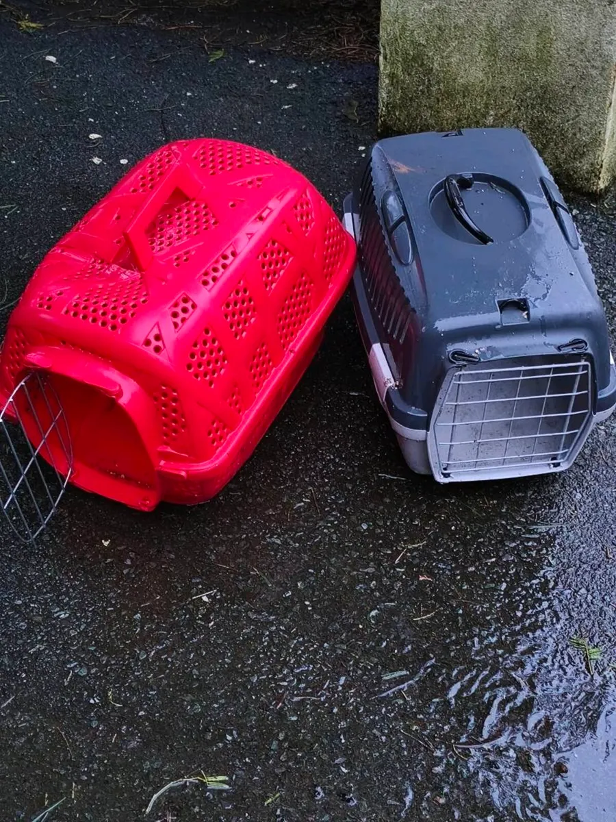 2 new cat boxes 20 for both