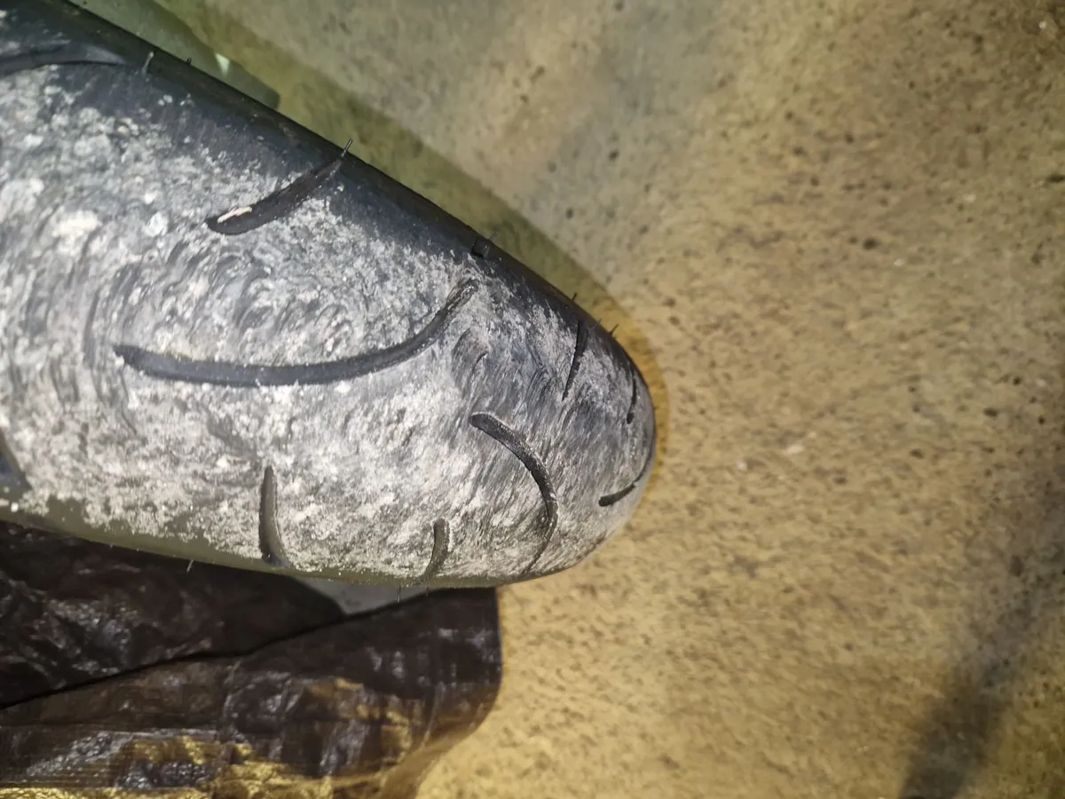 Suzuki Bandit 1200S - Image 3