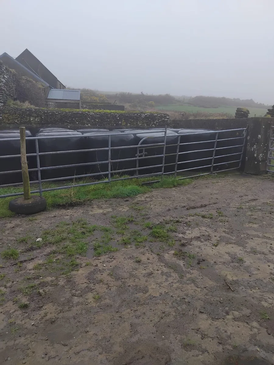 Silage bales - Image 2