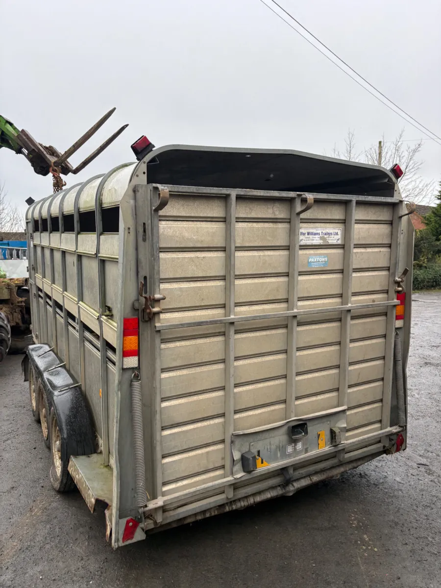 Ifor Williams 14ft cattle trailer - Image 2