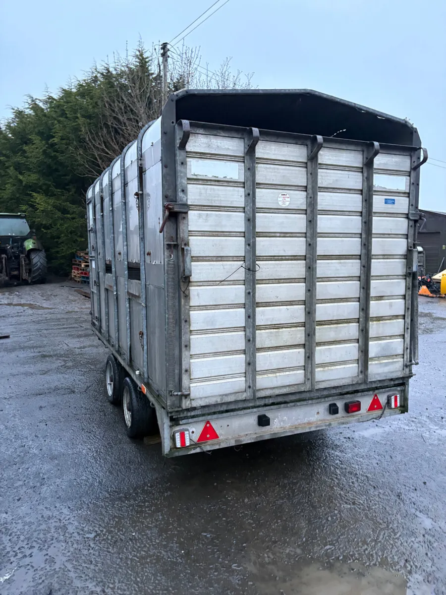Hudson 12ft livestock trailer - Image 2