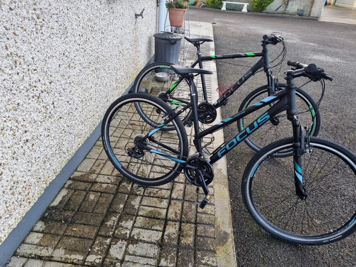 Bicycle for sale Ladies & Gents - Image 2