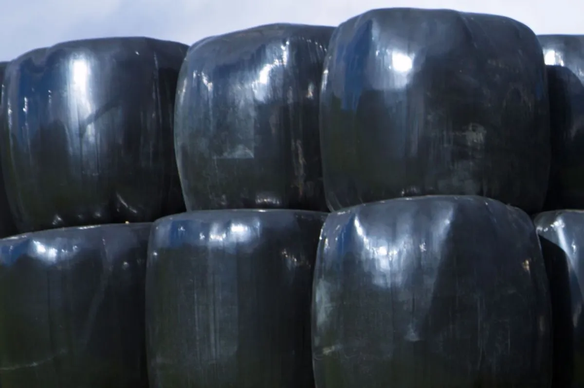Silage bales