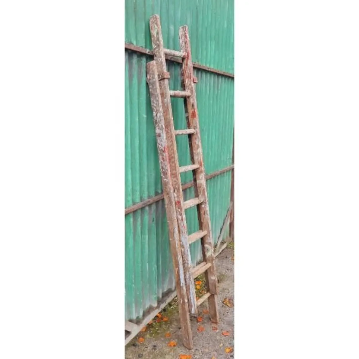 Extending Ladder Wooden KAS919 - Image 1
