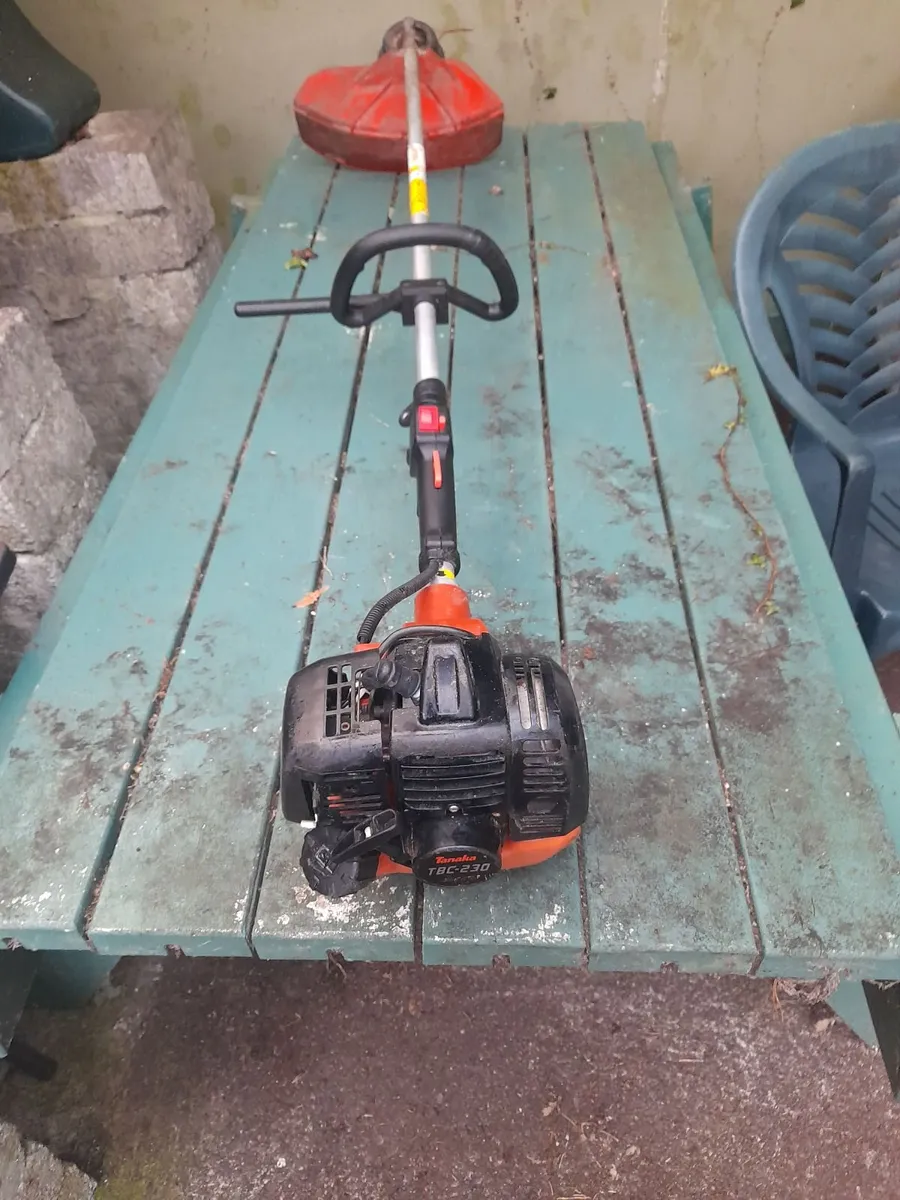 Garden equipment 185 euros and racing bicycle 145 - Image 4