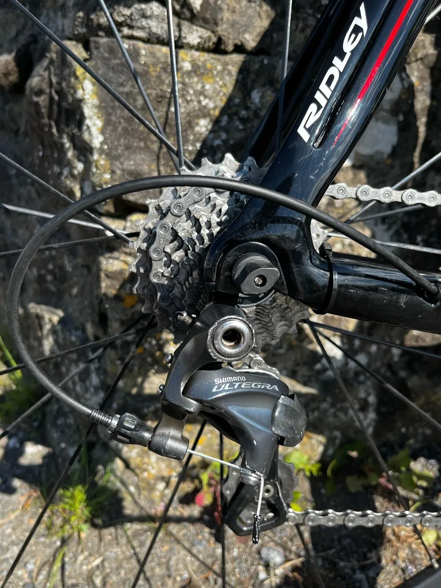 Ridley Noah - Image 2