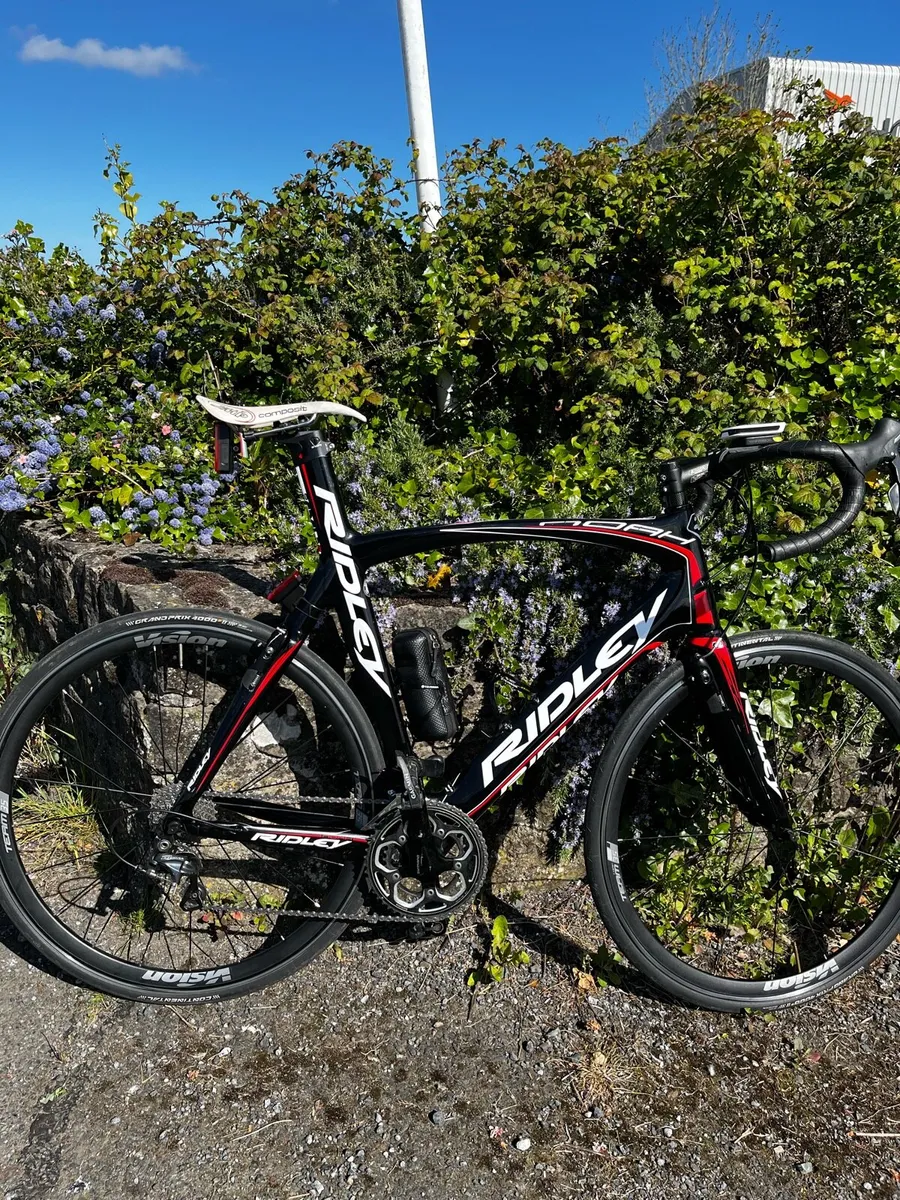 Ridley Noah - Image 3