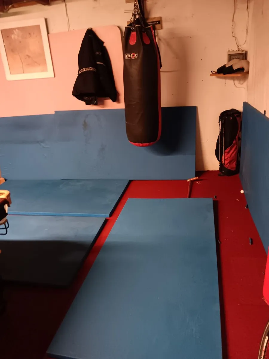 Judo mats 2mtr by 1 mtr by 40mm - Image 2
