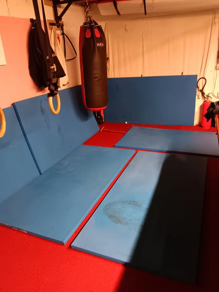 Judo mats 2mtr by 1 mtr by 40mm - Image 3