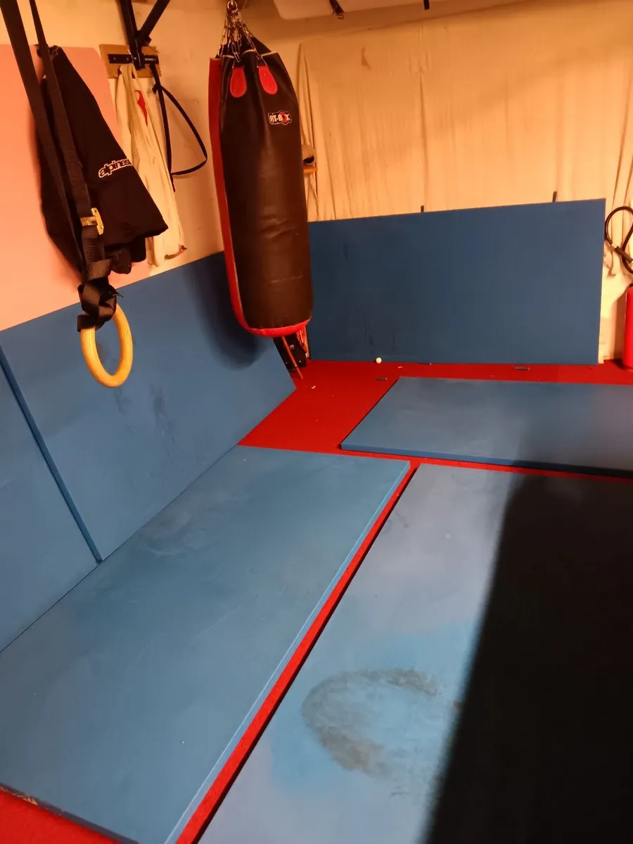 Judo mats 2mtr by 1 mtr by 40mm - Image 4