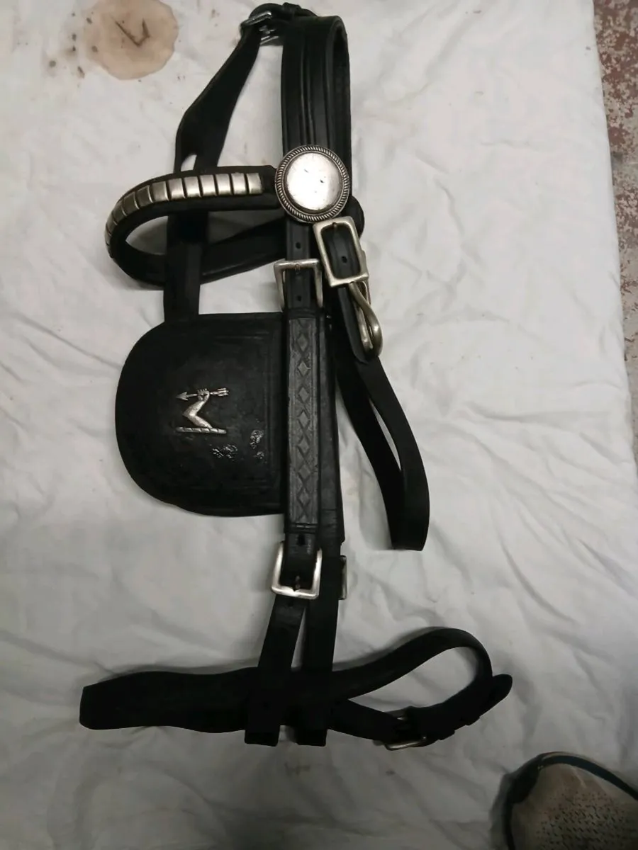 Driving Winkers - Image 2