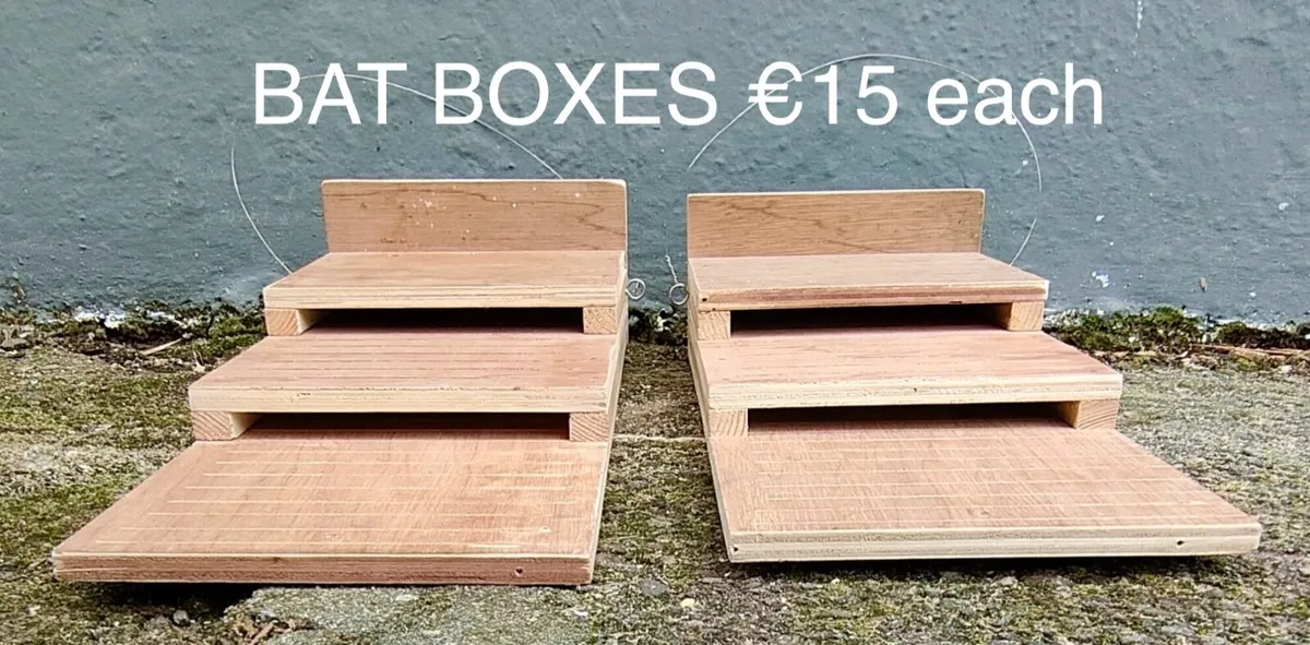 Bird nest boxes - Image 3