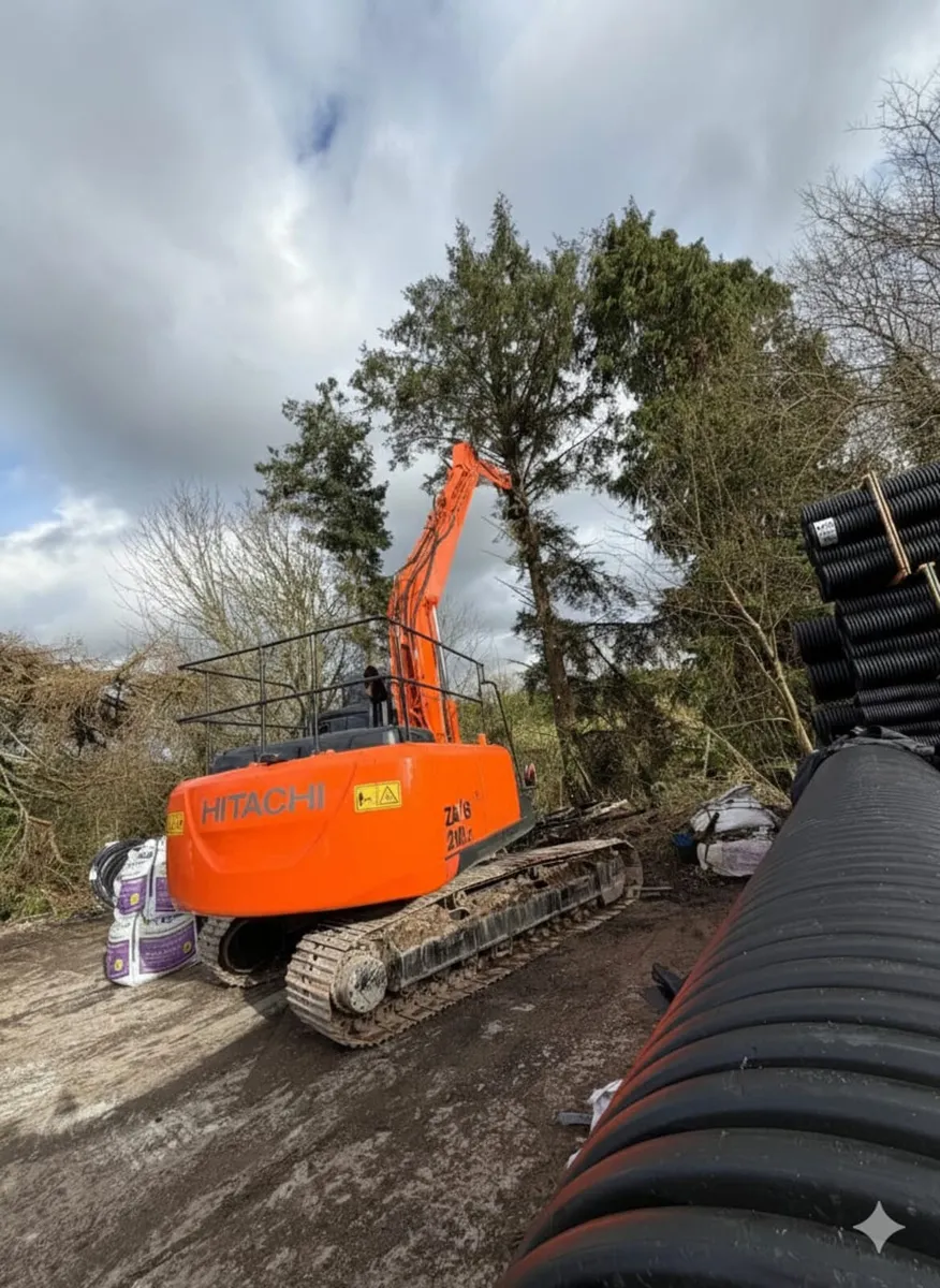 Long reach tree shearing services - Image 4