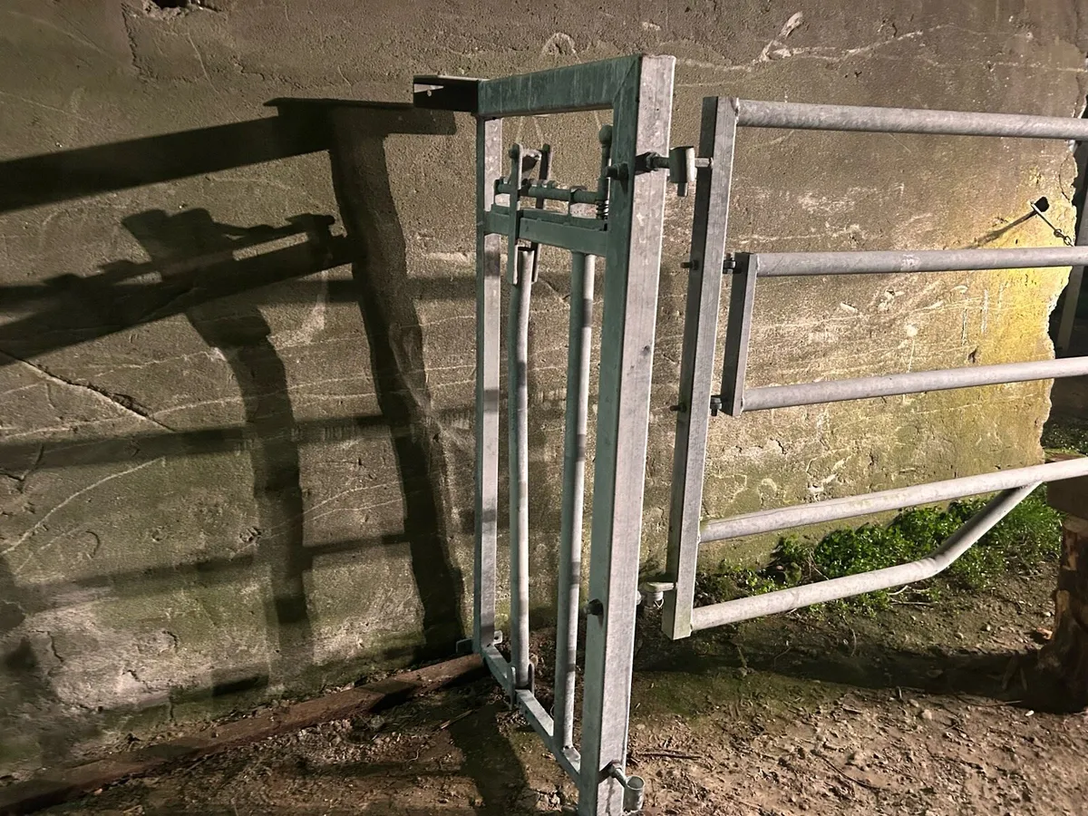 Calving crush gate - Image 2